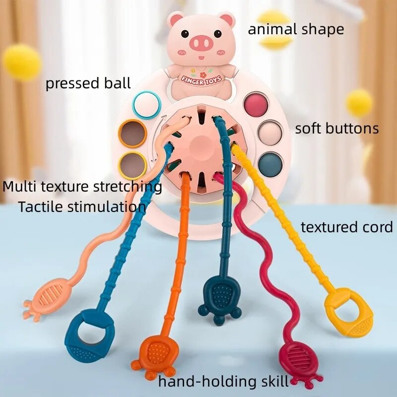 Pig Sensory Toy